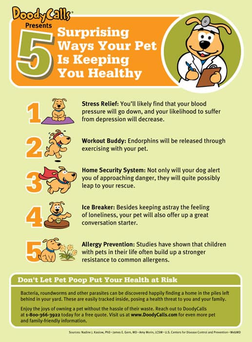 Infographic | Client: DoodyCalls.com