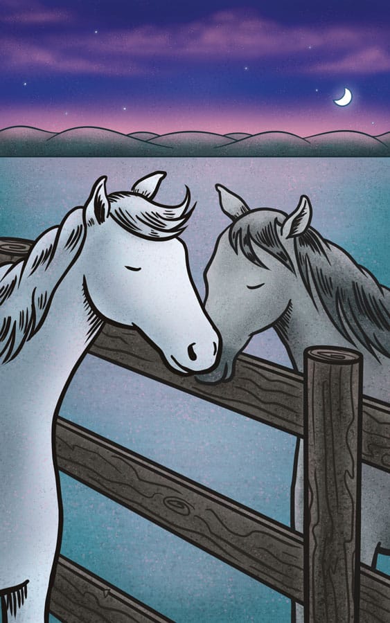 Dreamwalker reunited with his mother Chloe under a starry sky at sunset.