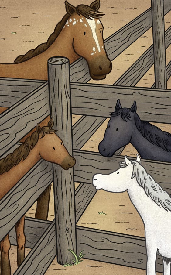 Dreamwalker talking to the other horses in a paddock.