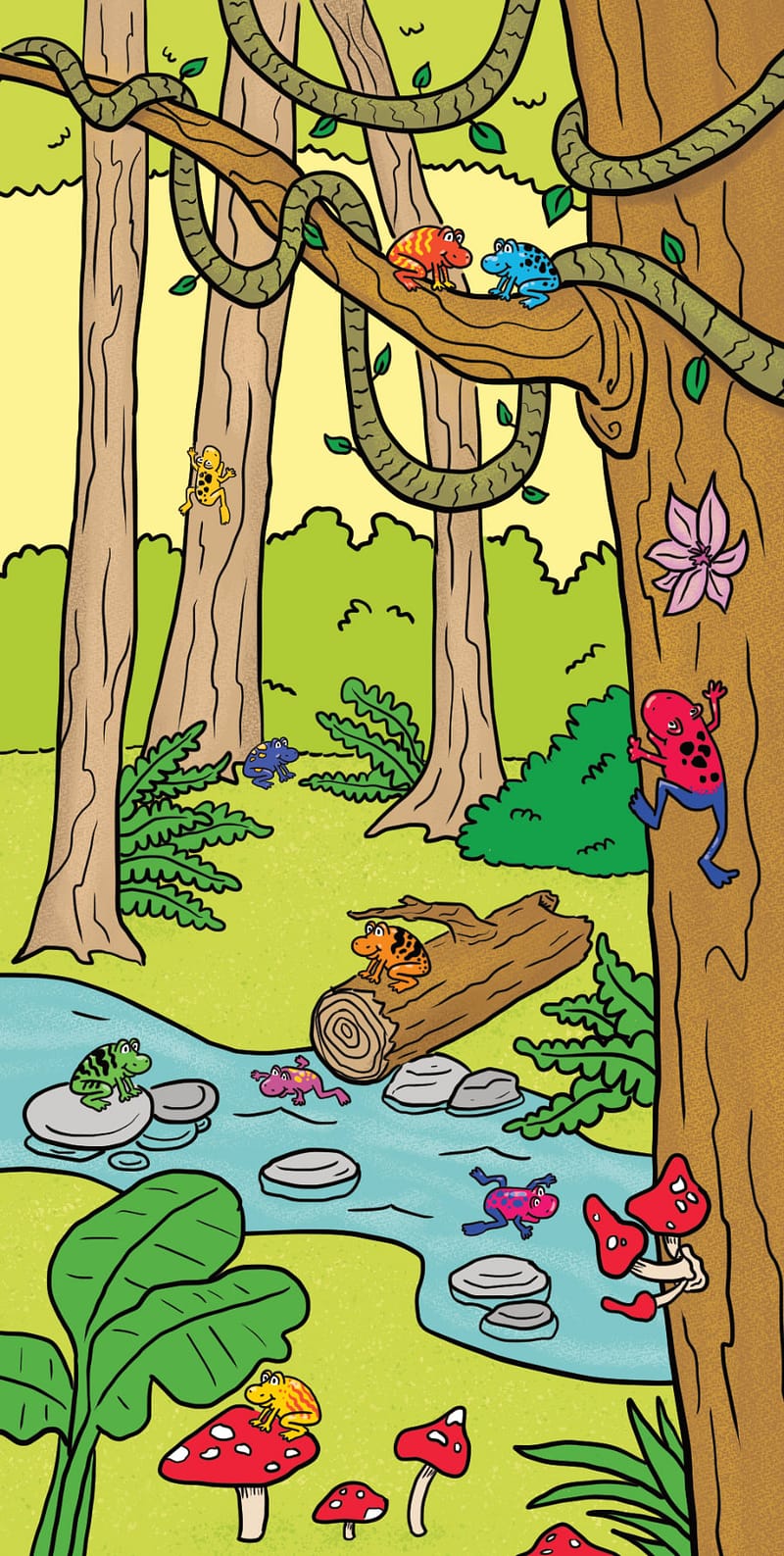 Brain Quest artwork of colorful frogs enjoying their rainforest habitat. Brain Quest Pre-K Deck Cards. Art Director 
Erica Green. Illustration by Scott DuBar.
