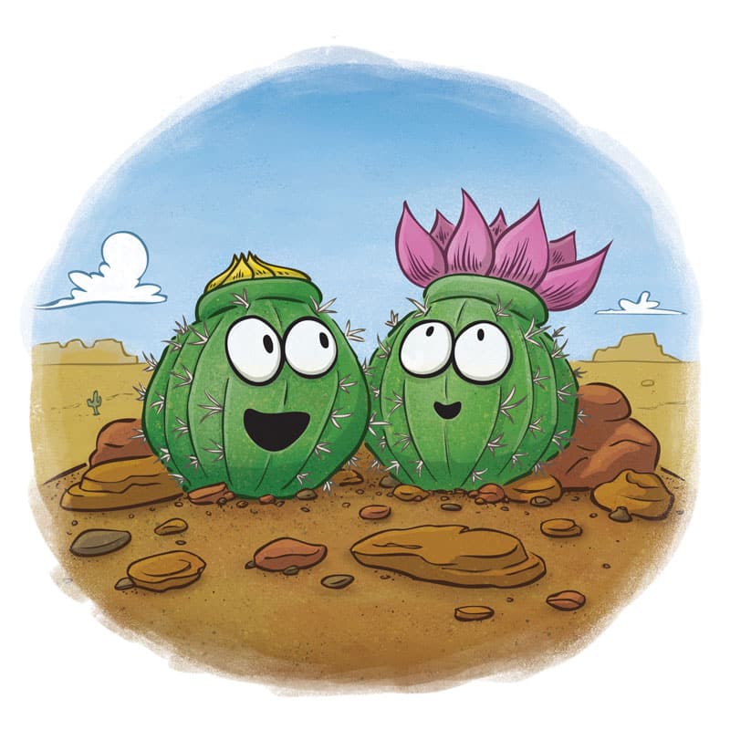 cute cactus desert bloom by illustrator Scott DuBar
