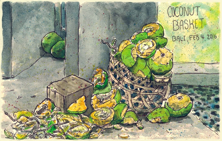 Scott-DuBar-Bali-Coconut-sketch